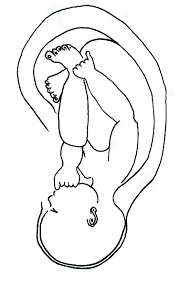 auricoloterapia